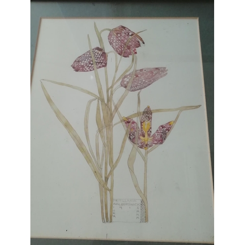 286 - Framed and Glazed Pictures (6) including Charles Rennie Mackintosh Floral Prints. This Lot is Collec... 