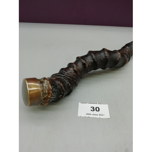 30 - Impala Horn with Brass End.