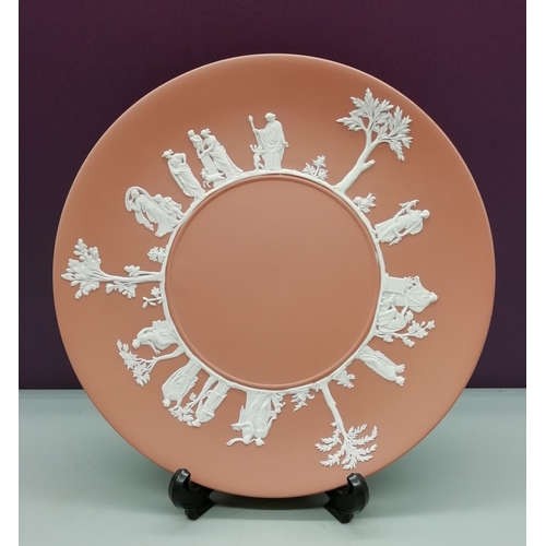 460 - Wedgwood Terracotta Jasper Plate. 24cm Diameter.