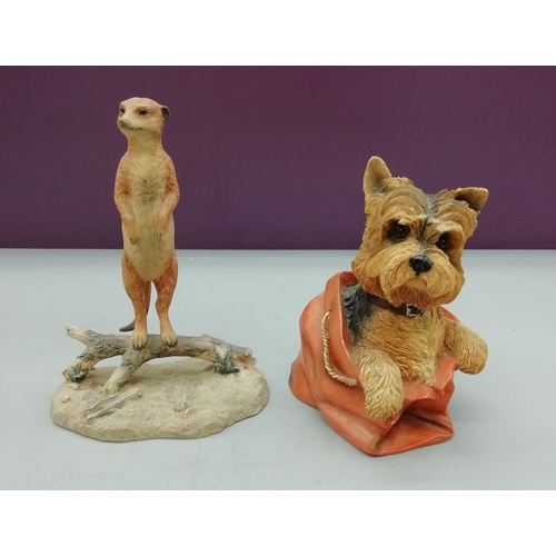 730 - Leonardo Meerkat and Leonardo Terrier