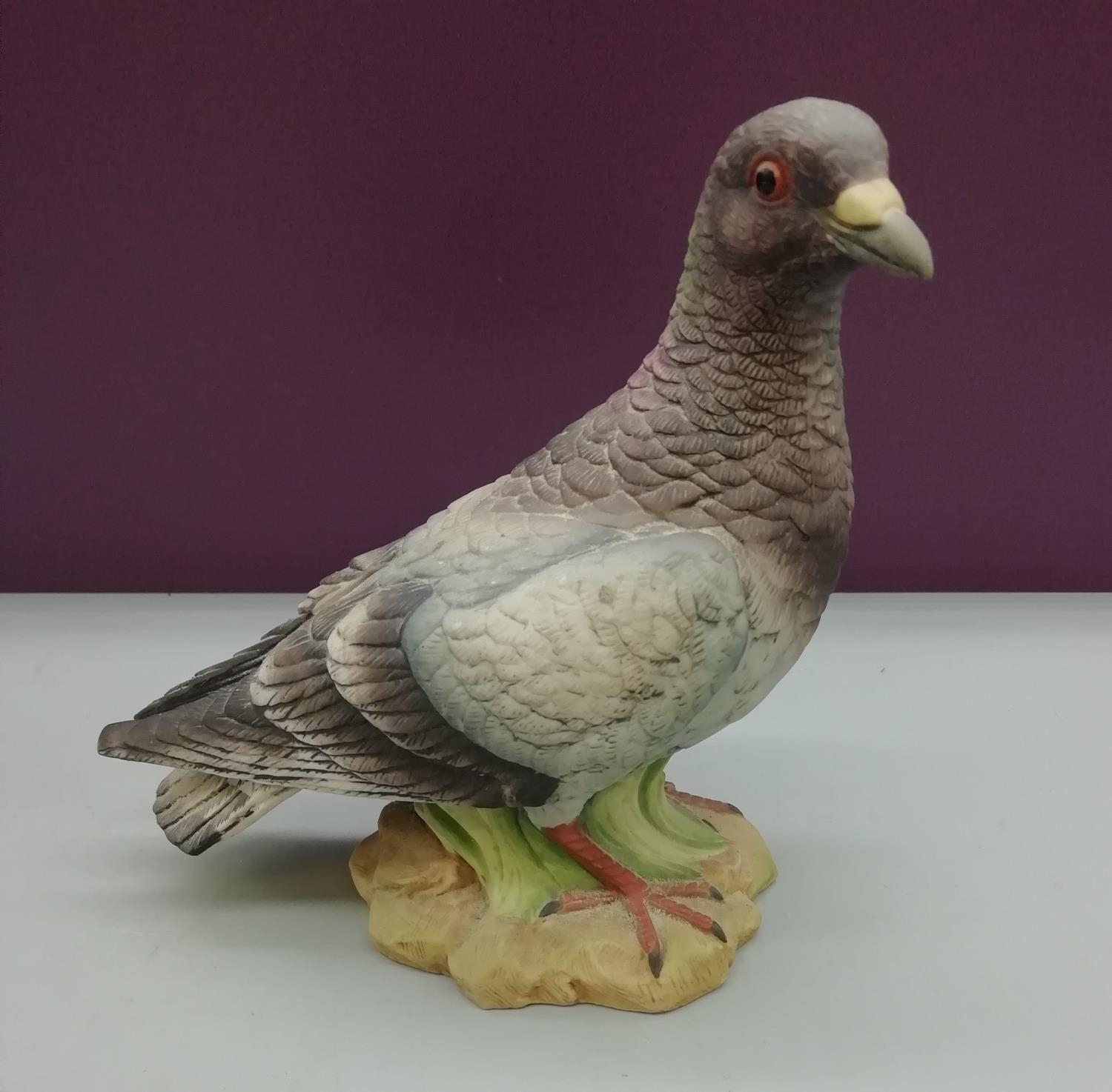 Vintage Porcelain Ware by Kowa Figure of a 'Stock Dove'.