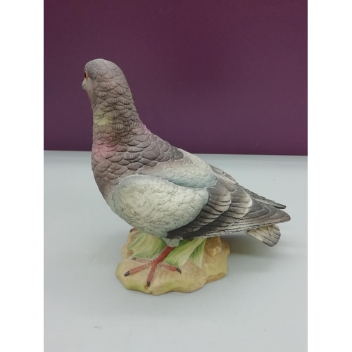 Vintage Porcelain Ware by Kowa Figure of a 'Stock Dove'.