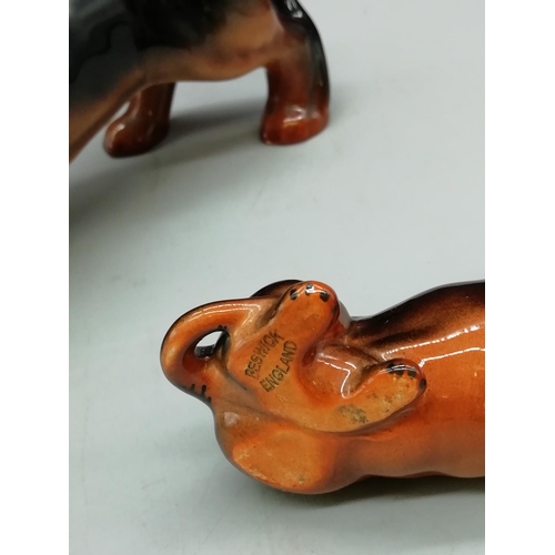 26 - Beswick Dachshunds (2). Large one A/F.