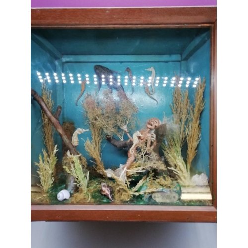 3 - Cased Sideshow Gaff of a 'Fejee (Fiji) Mermaid'. Dated 1930. Hoax Promoted by P.T.Barnum during the ... 