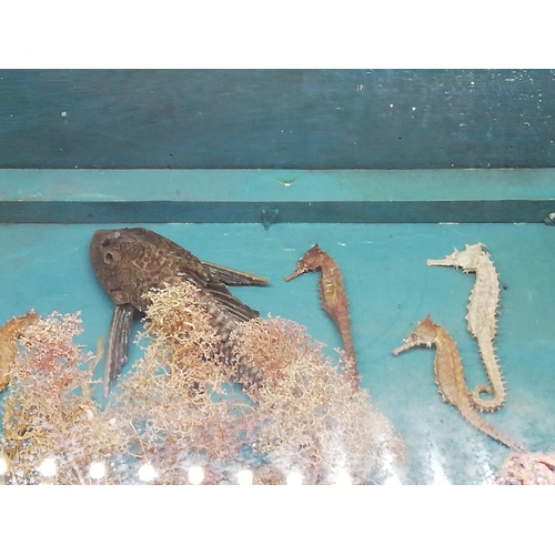 3 - Cased Sideshow Gaff of a 'Fejee (Fiji) Mermaid'. Dated 1930. Hoax Promoted by P.T.Barnum during the ... 