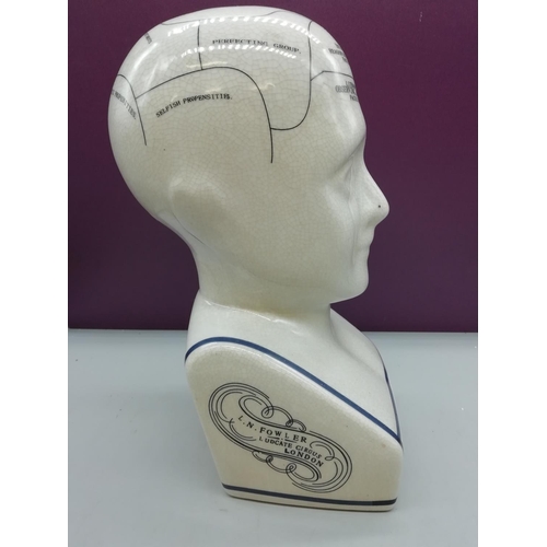 396 - Phrenology Head.