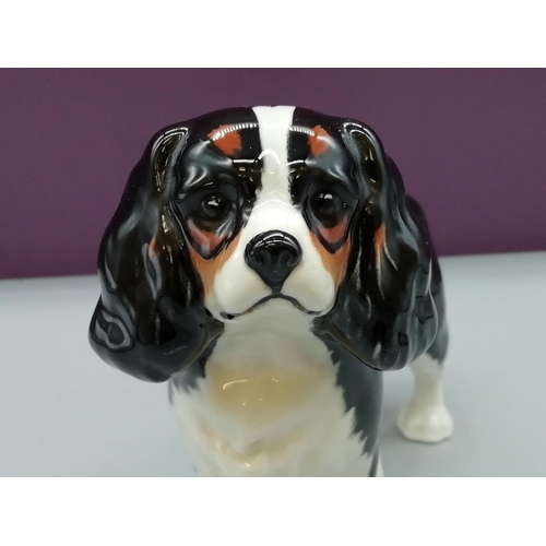 517 - Beswick Model of a King Charles Spaniel. 13cm High.