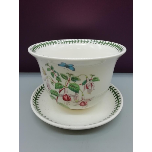 113 - Portmeirion Flower Pot and Saucer. 14cm High.