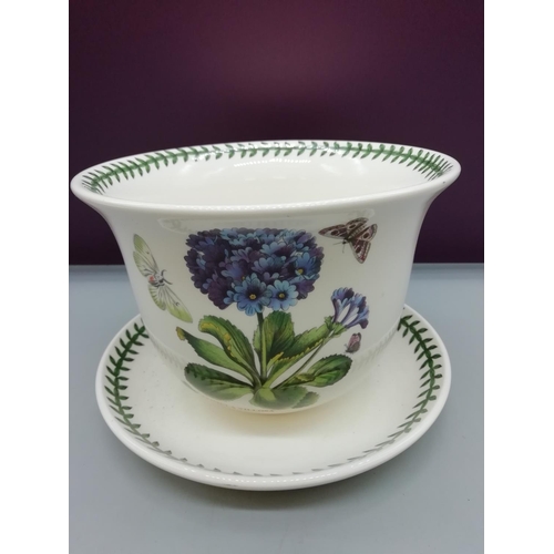 113 - Portmeirion Flower Pot and Saucer. 14cm High.