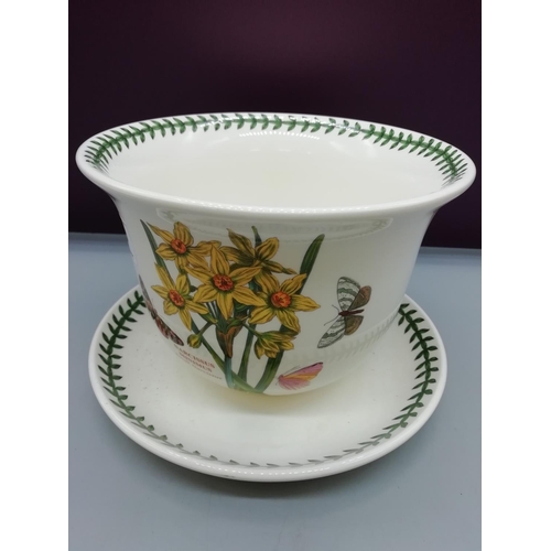 113 - Portmeirion Flower Pot and Saucer. 14cm High.