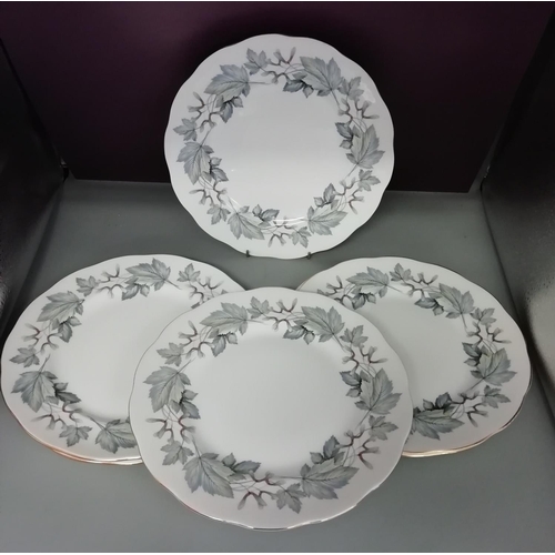 128 - Royal Albert 26cm Dinner Plates in the 'Silver Maple' Pattern (6).