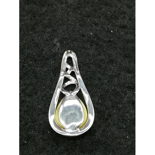 179 - Sterling Silver and Amber Pendant.