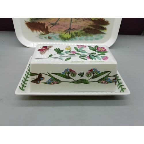 203 - Portmeirion Toast Rack, Butter Dish and Tray.