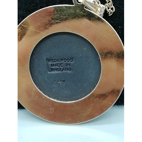 270 - Wedgwood Black Jasper Necklace.