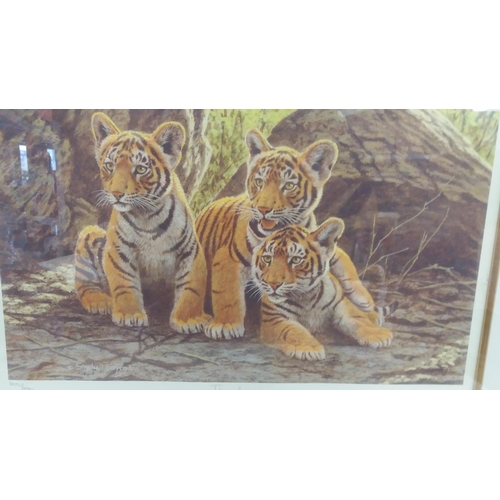 308 - Framed and Glazed Signed Limited Edition Print 'Three Amigos' by Stephen Gayford. 64cm x 50cm. This ... 