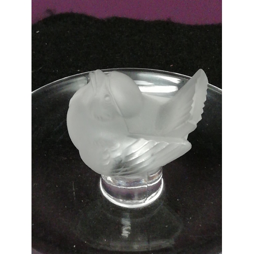 74 - Lalique Glass Pin Tray with Wren Bird.