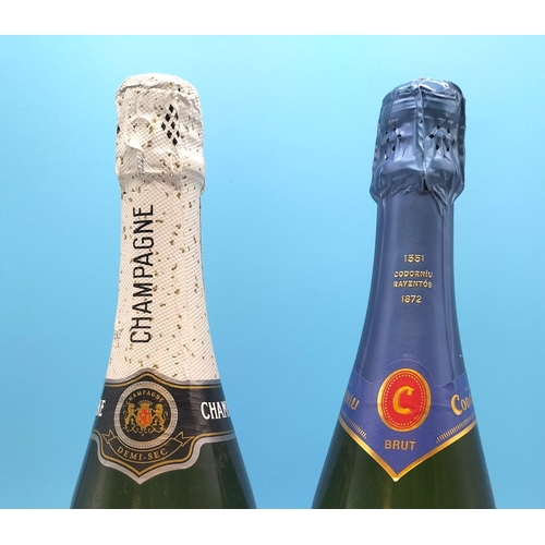 126 - 2 x 75cl Bottles. - Veuve Pelletier & Fils Champagne and Gran Cremant Codorniu Cava 2013. Age restri... 