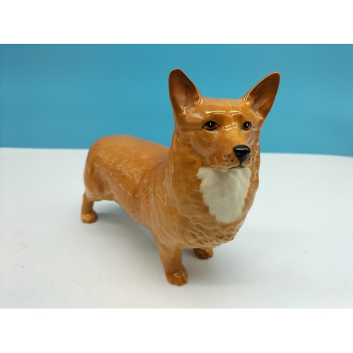 533 - Beswick Large Model of a Corgi. 13cm x 15cm.