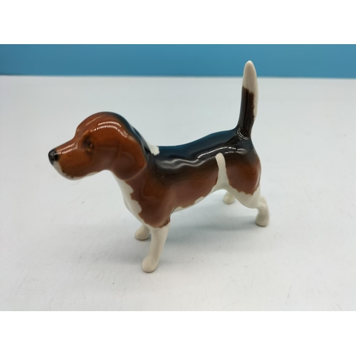 536 - Beswick Model of a Beagle Dog. 7cm x 9cm. Mark to Head.