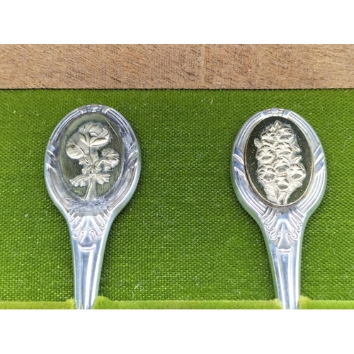 6 - Boxed Set of Royal Horticultural Society Solid Silver Flower Spoons.