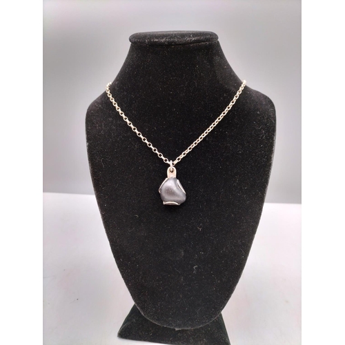 255 - Hallmarked Silver 'Basalt' Stone from Easter Island on Silver Belcher Chain.