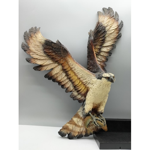 267 - Fraser Arts Ltd Hand Painted 'Osprey or Fish Hawk'. 49cm x 35cm.