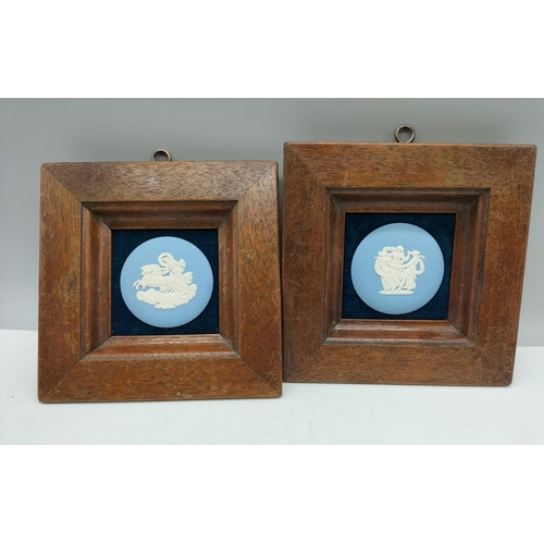 120 - 2 x Oak Framed Wedgwood Jasper Cameos. 15cm x 15cm.