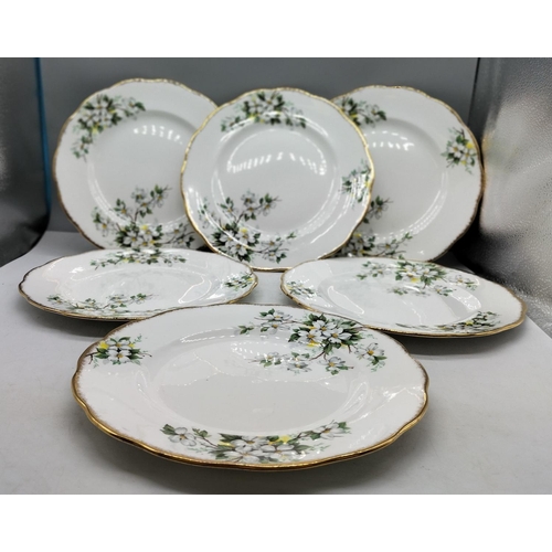 49 - Royal Albert 26cm Dinner Plates in the 'White Dogwood' Pattern.