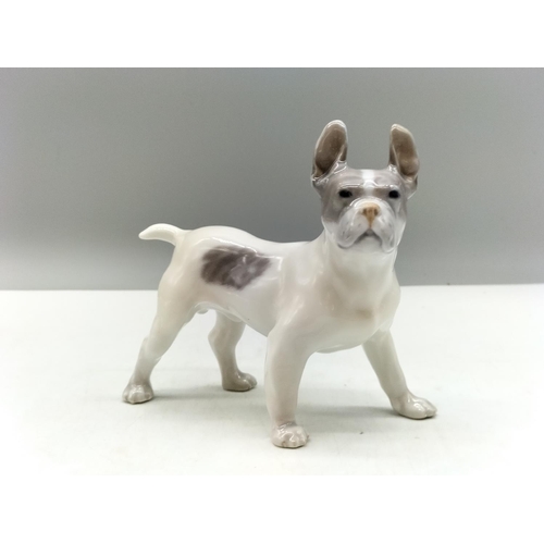 129 - Royal Copenhagen Porcelain Dog Figure 'Boston Terrier' no. 1457, Designed by Knud Muller.