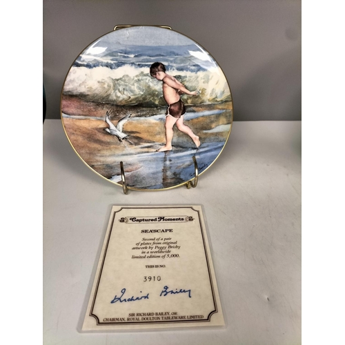 395 - Royal Doulton Limited Edition Collectors Plates with Certificates (2) - 'Seascape' and 'Treasure See... 