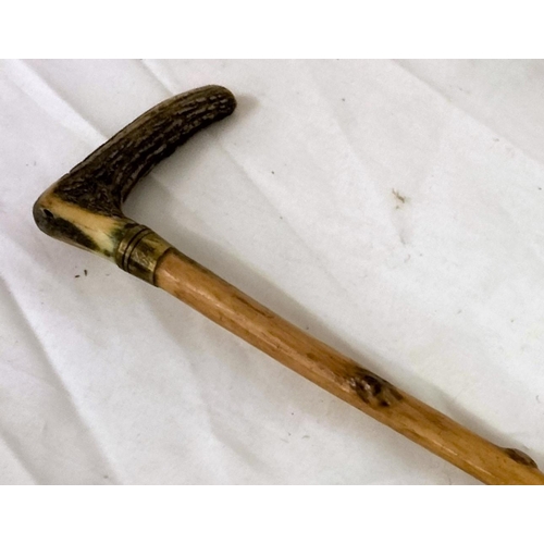 816 - Riding Crop with Horn Top. 77cm Long