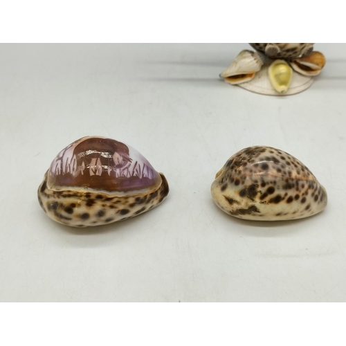 916 - Shell Boat, Engraved Shell plus One Other Shell.