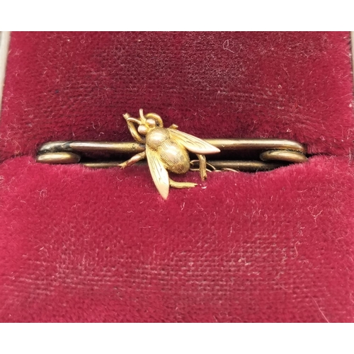 811 - 15ct Gold (Tested) 'Fly' on Base Metal Pin.