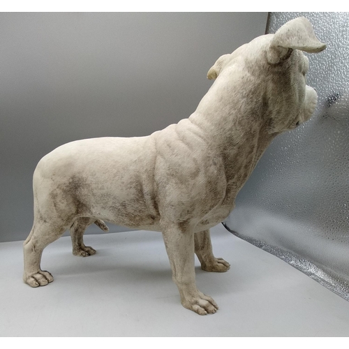 121 - Large  37cm High, 52cm Long Leonardo Figure of a Staffordshire Bull Terrier.