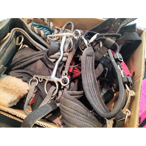 363 - Large Box of Equestrian Items.