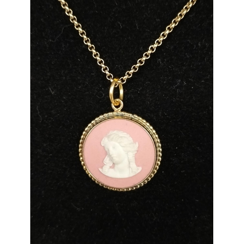 326 - Wedgwood Pink Jasper Pendant. Hallmarked Silver Gold Plated plus 925 Chain.