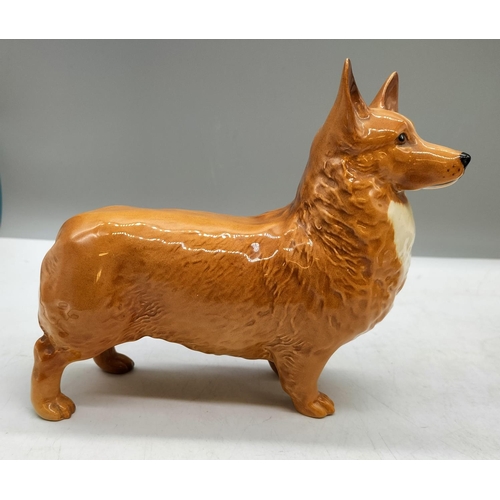 181 - Beswick Large Figure of a Light Brown Corgi Dog. 16cm x 14cm.