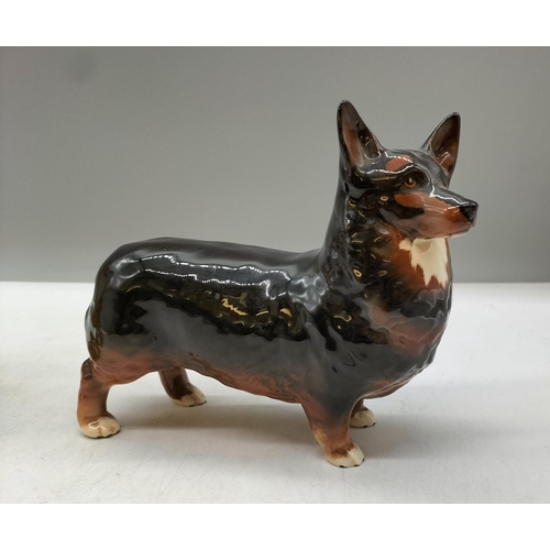 182 - Beswick Large Figure of a Dark Brown Corgi Dog. 16cm x 14cm.