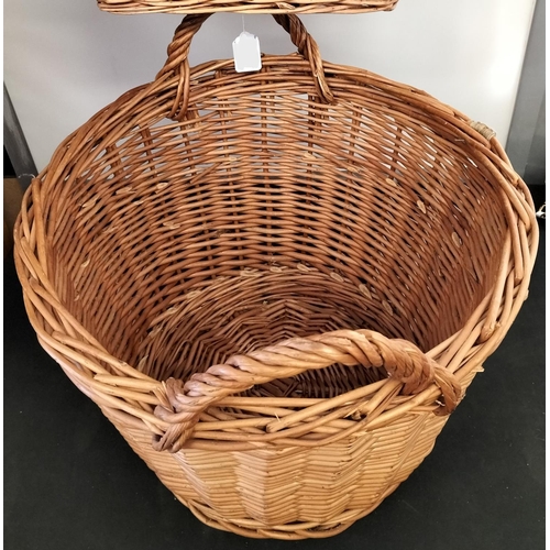 253 - Wicker Baskets (2)