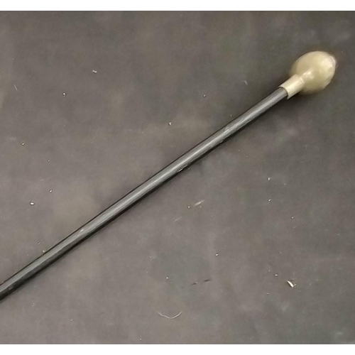 280 - Vintage RAF 70cm Swagger Stick.