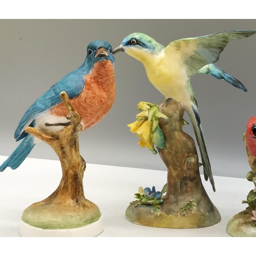 398 - Crown Staffordshire Hand Painted Bone China Bird Figures (4) - Red Cardinal, Blue Bird, Oriole and B... 