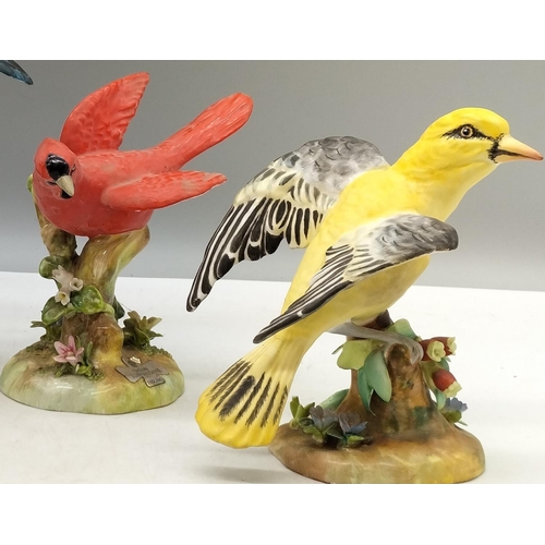 398 - Crown Staffordshire Hand Painted Bone China Bird Figures (4) - Red Cardinal, Blue Bird, Oriole and B... 