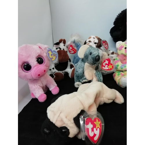 454 - TY Beanies Plush Toys with Tags (11).