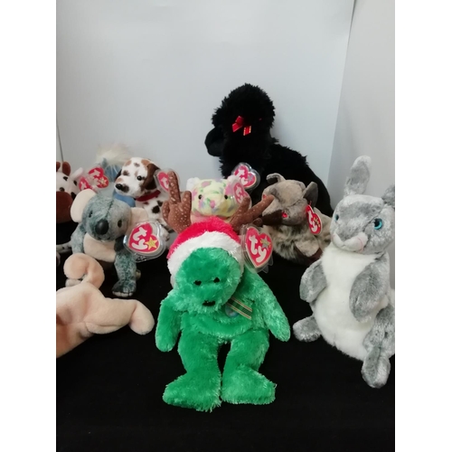 454 - TY Beanies Plush Toys with Tags (11).