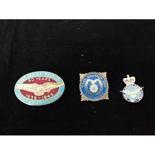 592 - Airforce Badges (3).