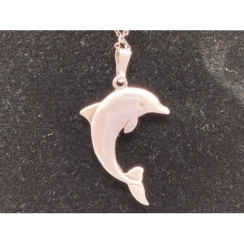 15A - 925 Silver Chain and Dolphin Pendant.