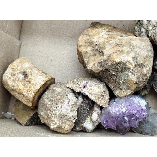 215 - Collection of Fossils and Rock Samples to include Flint, Amethyst, Amorite, etc.