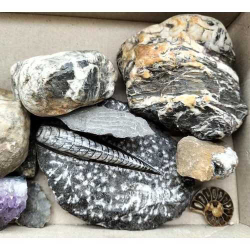 215 - Collection of Fossils and Rock Samples to include Flint, Amethyst, Amorite, etc.