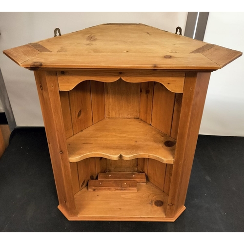 251 - Pine Corner Cupboard Unit. 69cm High, 60cm x 30cm. This Lot is Collection Only.