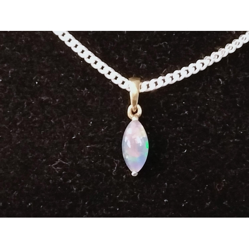 205 - 925 Silver Chain and Opal Silver Pendant.